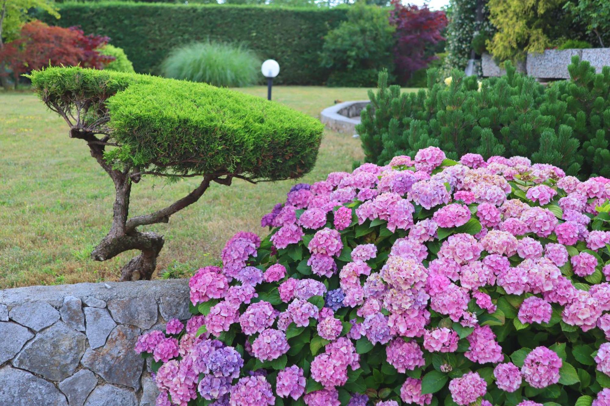 Garden Villa Štanjel Zewnętrze zdjęcie